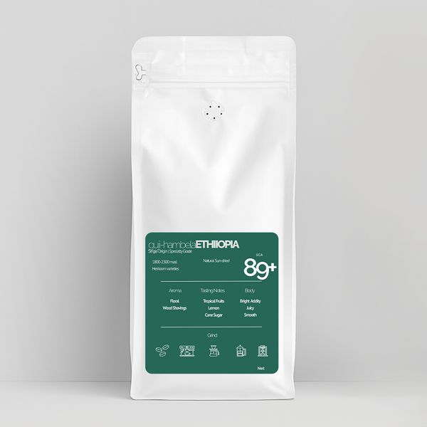 guji-hambela ETHIOPIA | 89+