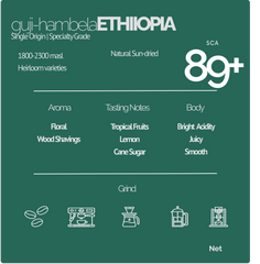 guji-hambela ETHIOPIA | 89+